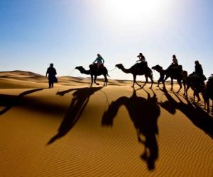 Erg Chegaga Camel Trekking
